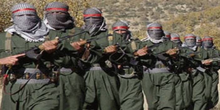 PKK, Lice'de 10 köylüyü kaçırdı