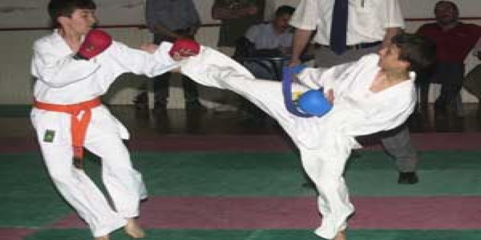 Gümüşhane’de Karate heyecanı