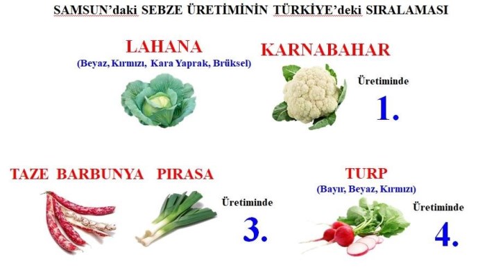 sebze-ve-meyveyi-samsun-uretiyor-turkiye-tuketiyor-001.jpg