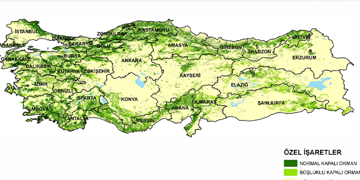 Türkiye'nin yeşil kentleri listesinde Trabzon'a şok! 