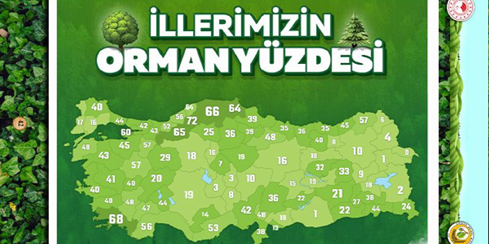 Türkiye'nin yeşil kentleri listesinde Trabzon'a şok! 