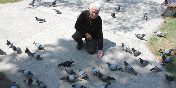 Ordu'da 92 yaşındaki vatandaş ağzıyla günde 500 güvercin besliyor
