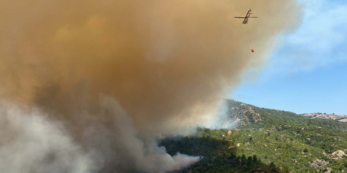Çanakkale'de orman yangını! Bir köy boşaltıldı
