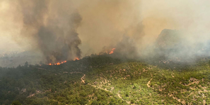 Çanakkale'de orman yangını! Bir köy boşaltıldı