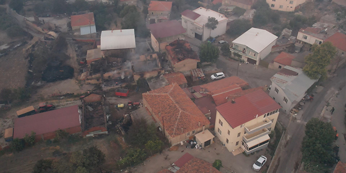 Çanakkale'de orman yangını! 81 vatandaş etkilendi 72 kişinin tedavisi sürüyor