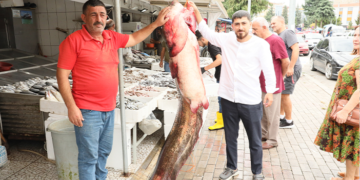 Samsun'da baraj gölünde 94 kilogramlık yayın balığı yakalandı