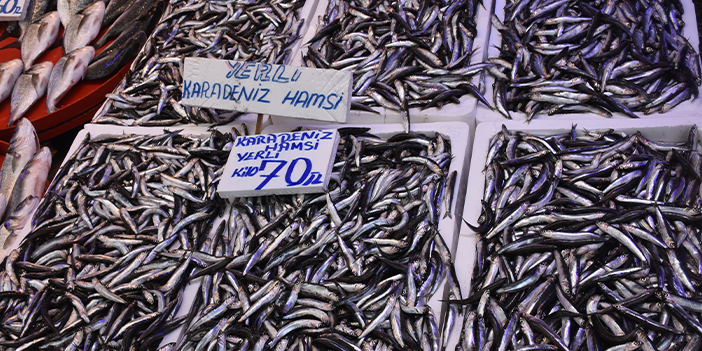 Trabzon'da balıkçılara hava muhalefeti engeli! İşte balık fiyatları 
