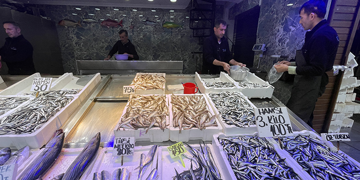 Trabzon'da balık çeşitleri tezgahları süsledi! Hamsinin fiyatı düştü 