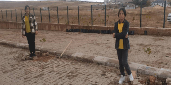 Bayburt'ta öğrenciler Türkiye Yüzyılı için 100 çınar ağacı diktiler