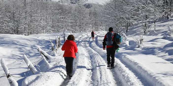 Trabzon'da doğaseverler Kadıralak Yaylası'nda karın tadını çıkardı
