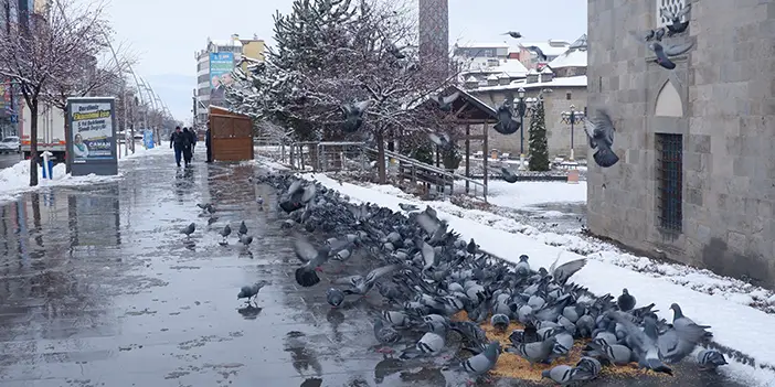 Erzurum güne karlı uyandı! 