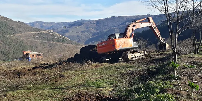 'Drakula' olarak biliniyor! Trabzon'da 4 bin hektardan fazla alana zarar verdi