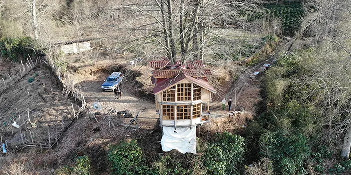 Rize'de 150 yıllık ağacın gövdesine 2+1 ev yaptı