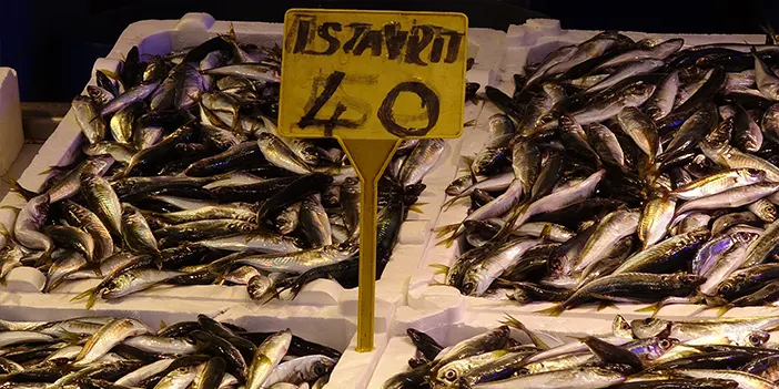 Trabzon'da ramazanın gelmesiyle balık satışları durdu