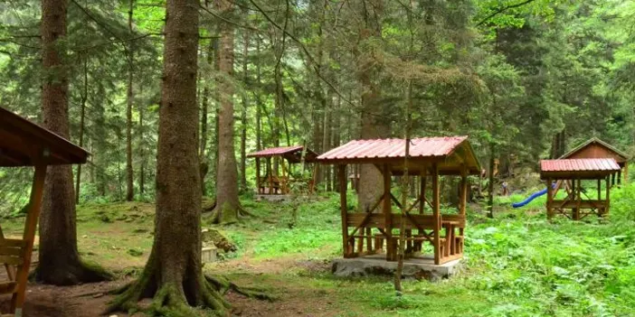 Trabzon'da kamp yapılacak yerler nerelerdir? Trabzon'da en iyi kamp yerleri...