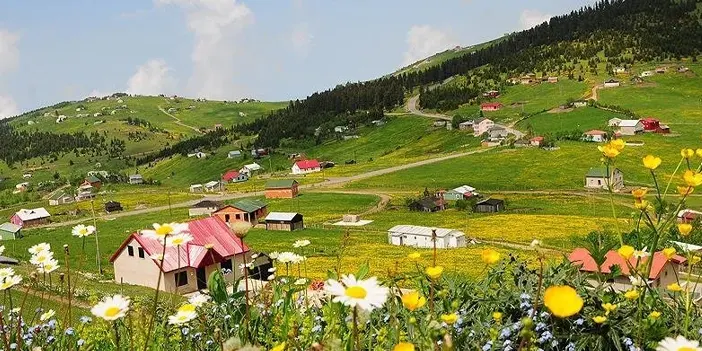 Trabzon'un en güzel yaylası neresi? Trabzon Yaylaları: Yeşilin Binbir Tonu