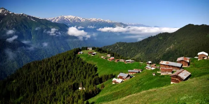 Trabzon'un en güzel yaylası neresi? Trabzon Yaylaları: Yeşilin Binbir Tonu
