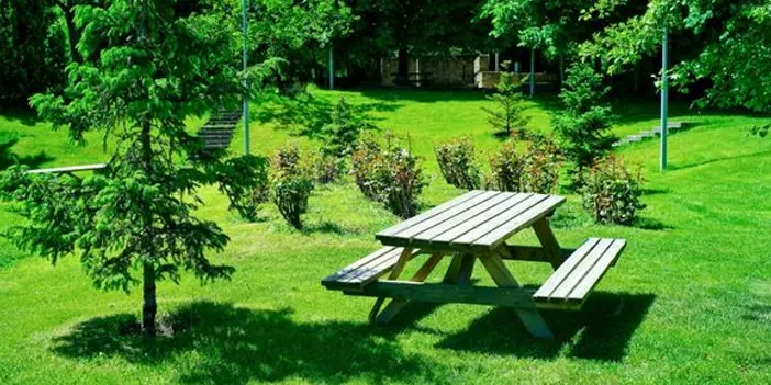 Trabzon'da piknik yapılacak yerler nereler? Trabzon'da piknik alanları