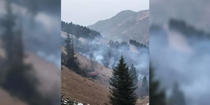Trabzon'da orman yangını! Vatandaşlar yardıma koştu
