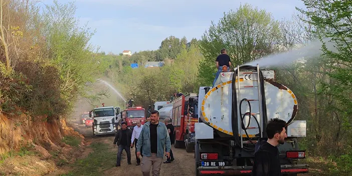 Trabzon ile Giresun sınırında 80 dönümlük mera arazisi yandı 
