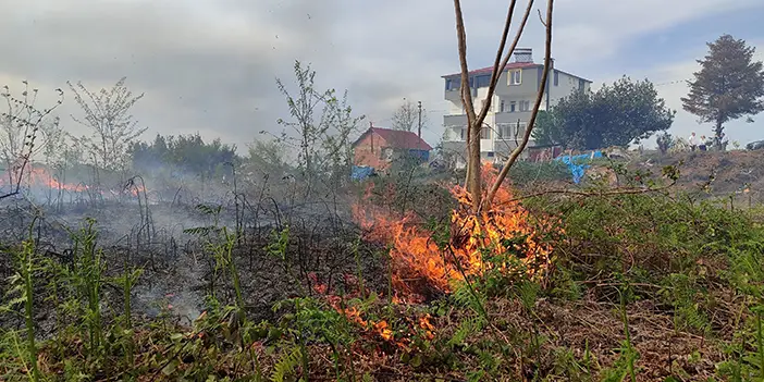 Trabzon ile Giresun sınırında yangın! Vatandaşlar ve ekipler seferber oldu