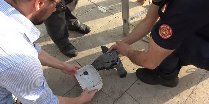 Samsun'da minarede asılı kalan güvercini itfaiye kurtardı