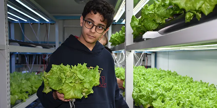 Trabzon'da öğrenciler topraksız tarımla sebze yetiştiriyor 