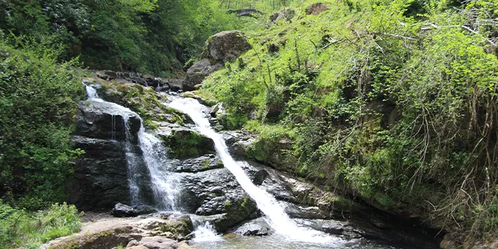 Trabzon'da adına türküler yazılan cennet keşfedilmeyi bekliyor: Ağasar Deresi 