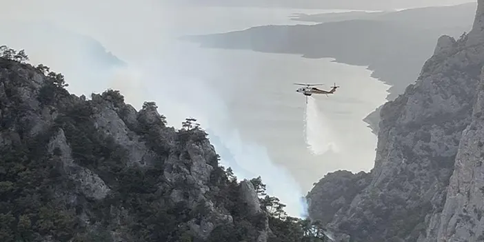 Samsun'da orman yangını! Havadan müdahale edildi 