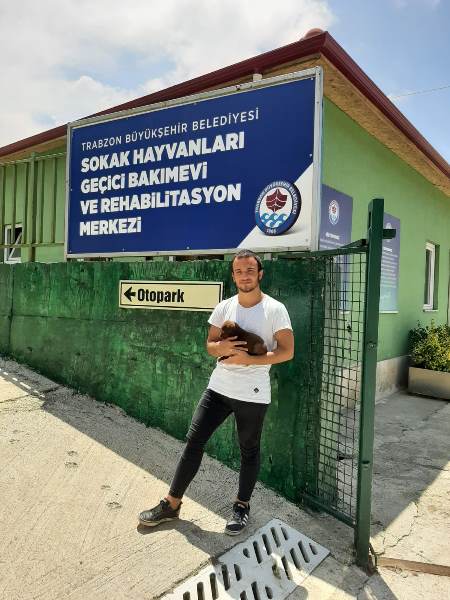 Trabzon Büyükşehir'den, sahipsiz canlara özel ilgi