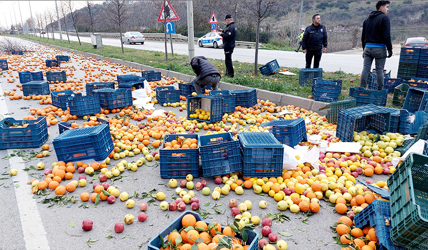 Samsun'da meyve yüklü kamyonet kaza yaptı! 1 yaralı