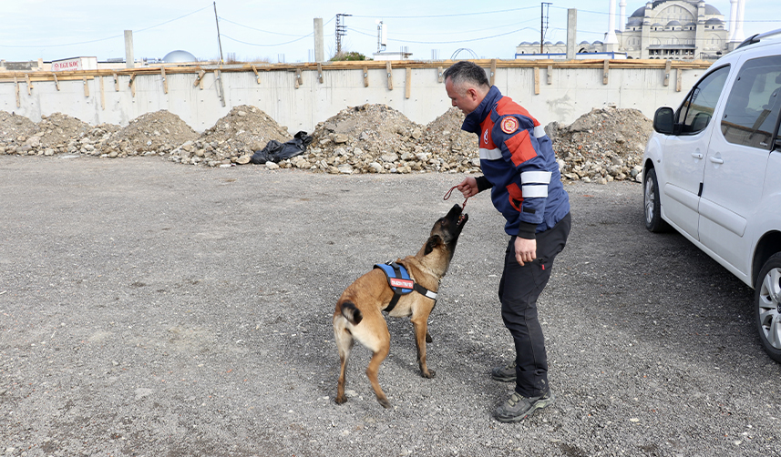 Trabzon'dan deprem bölgesine getirilen 'Rita' 3 kişi ve bir kedi kurtardı