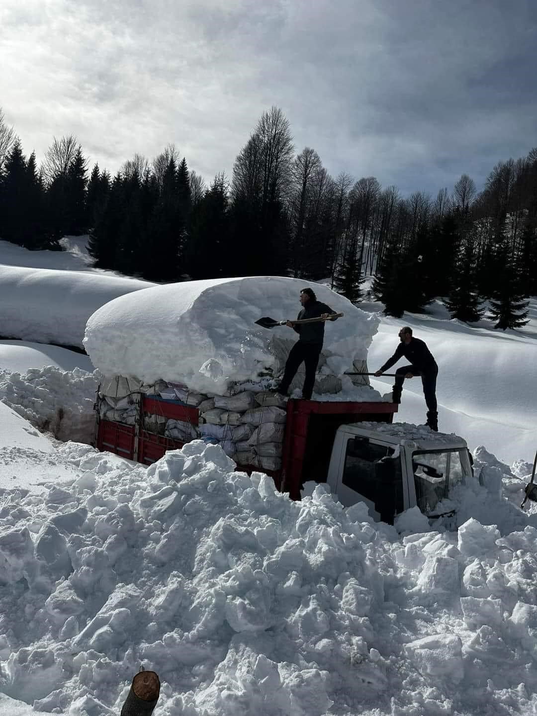 Artvin'den deprem bölgesine gidecek odun yardımına kar engeli