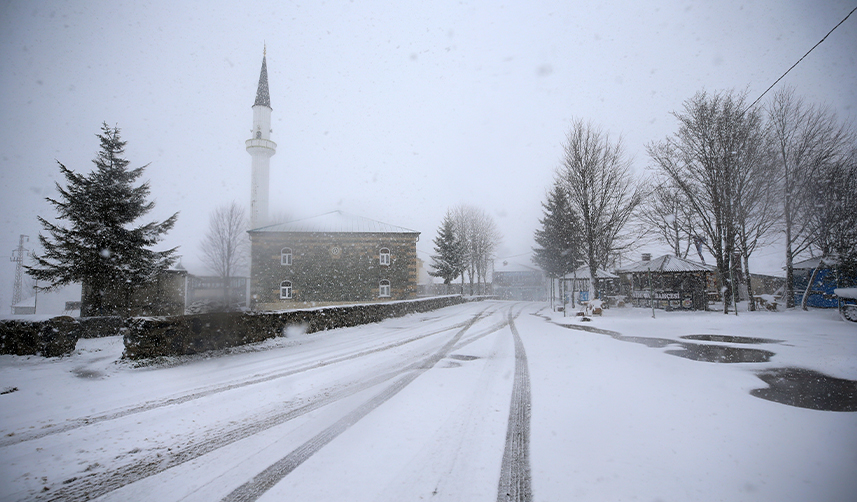 Trabzon'da kar etkili oldu! 