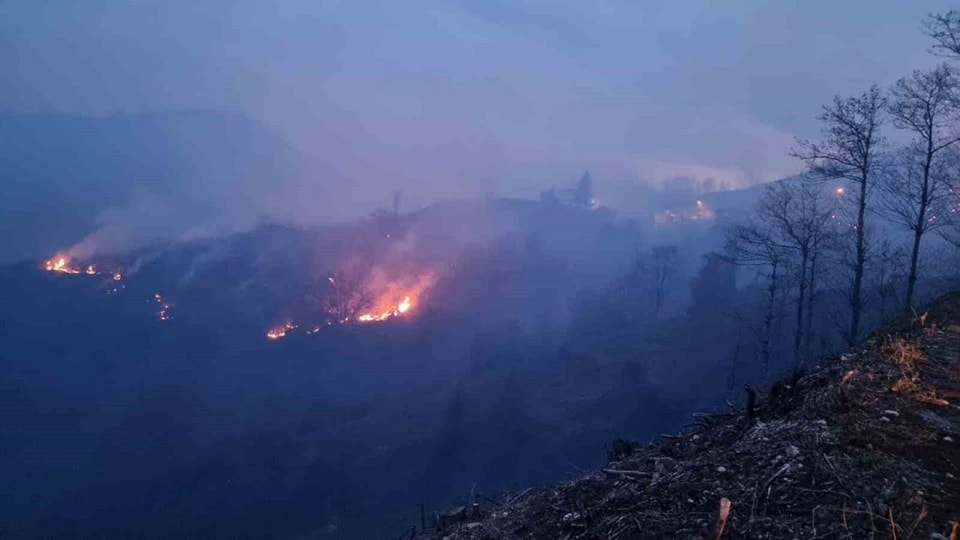Trabzon örtü yangını (3)