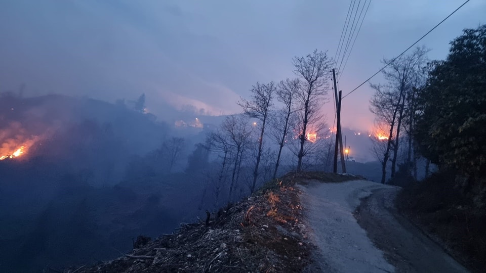 Trabzon örtü yangını (4)