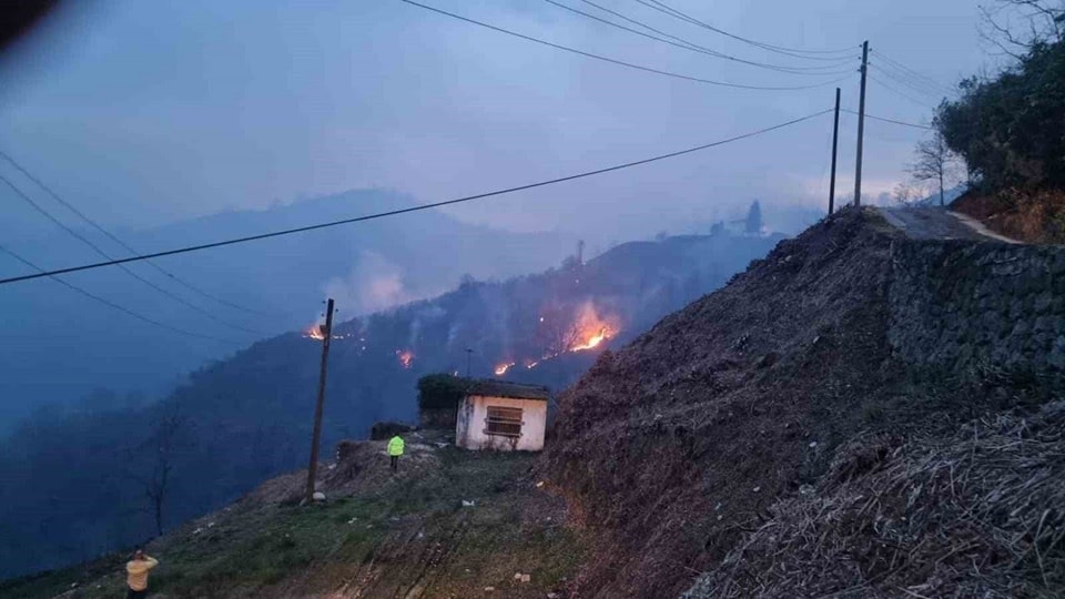 Trabzon örtü yangını (5)