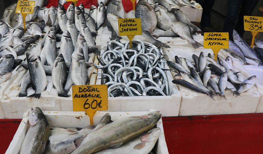 Samsun'da mevsim balıklarının yerini kültür balıkları aldı