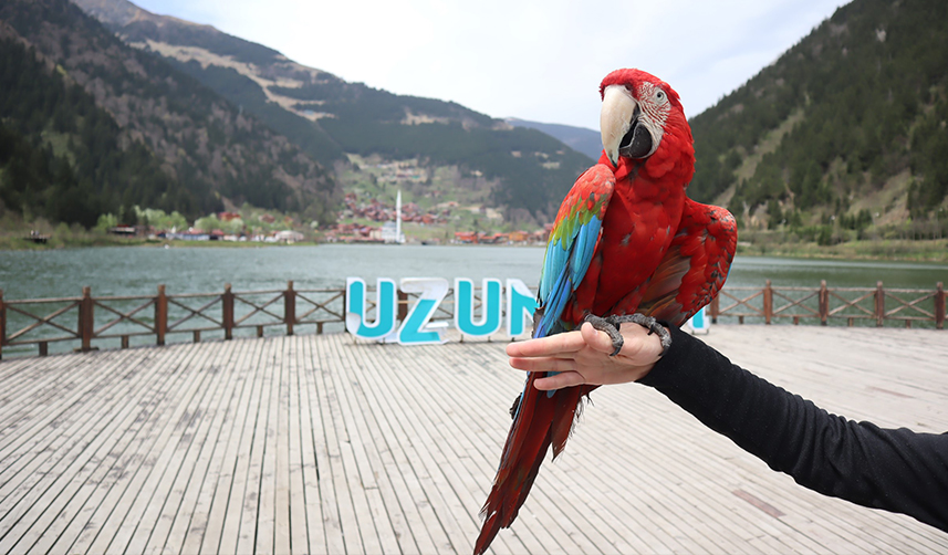 Trabzon'un turizm merkezi Uzungöl, Ramazan Bayramı tatiline hazır