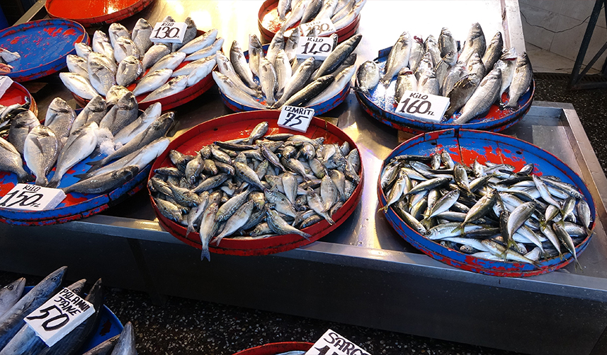 Trabzon'da balık fiyatları ne kadar? Av yasağı etkili oldu