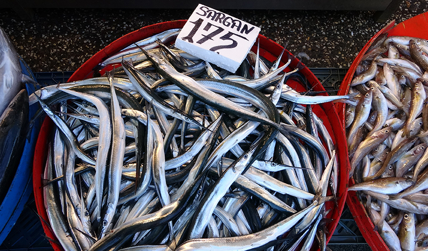Trabzon'da balık fiyatları ne kadar? Av yasağı etkili oldu